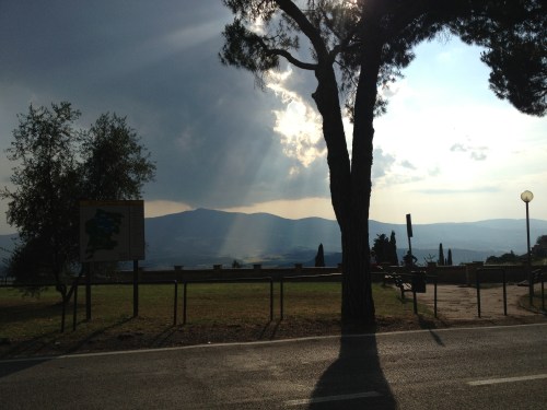 Sunshine after the rain