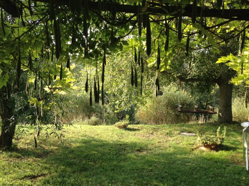 View from our front door