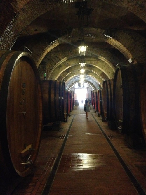 Talosa wine cellar