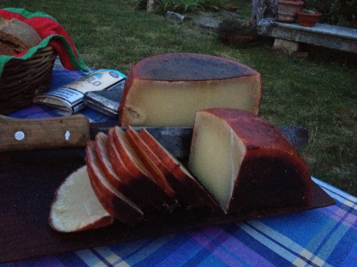 Tasting the pecorino