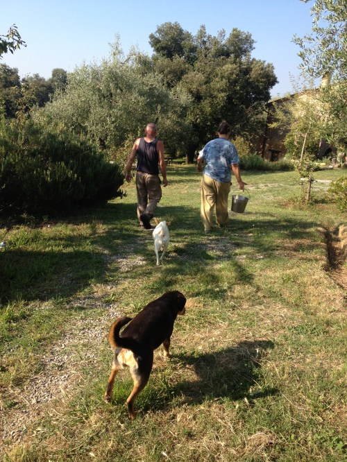 Goodbye Franceso & Luisa